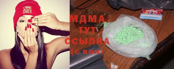 индика Вяземский