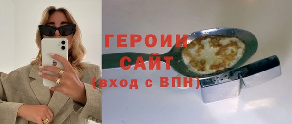 индика Вяземский