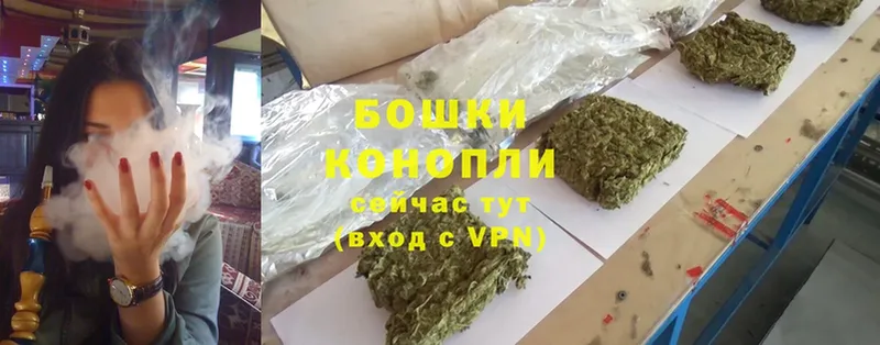 наркотики  Зерноград  Канабис SATIVA & INDICA 